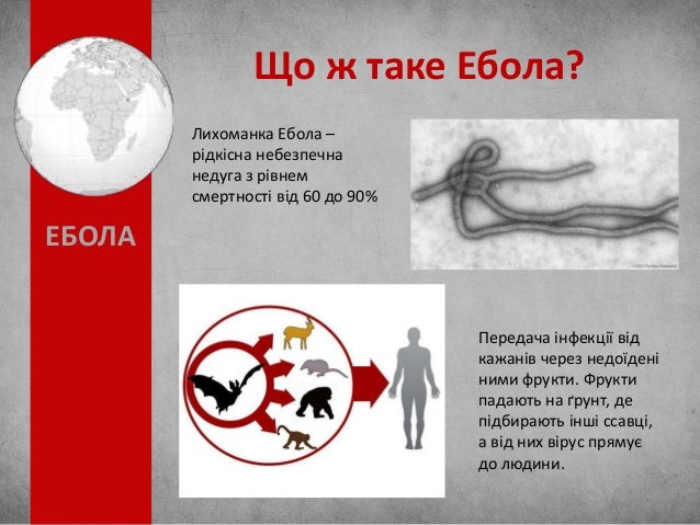Ебола: чума ХХІ століття чи зброя Судного дня?