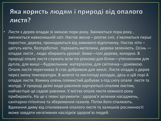 • Листя з дерев опадає зі зміною пори року. Змінюється пора року , 
змінюється навколишній світ. Настає весна – розтає сніг, з’являються перші 
паростки, дерева, прокидаються від зимового відпочинку. Настає літо – 
цвітуть квіти, безтурботно пурхають метелики, дерева зеленіють. Осінь — 
опадає листя , люди збирають урожаї. Зима—голі дерева, холодно. В 
природі опале листя служить всім по-різному:для білки—утепленням для 
дупла, для миші—будівельним матеріалом, для світлячка—домівкою. 
Опале листя перегниває й стає добривом для землі. Листя опадає з дерев 
через зміну температури. В жовтні та листопаді холодає, десь о цій порі й 
опадає листя. Взимку олень плямистий добуває з-під снігу опале листя та 
жолуді. У природі деякі види равликів харчуються опалим листям, 
найчастіше це садові равлики. У містах опале листя кожного року 
прибирають. На це є певні аргументи : здоров'я зелених насаджень, 
санітарно-гігієнічна та збереження газонів. Потім його спалюють. 
Вдихання диму від спалювання опалого листя та залишків рослинності 
може завдати негативних наслідків здоров’ю людей. 
 