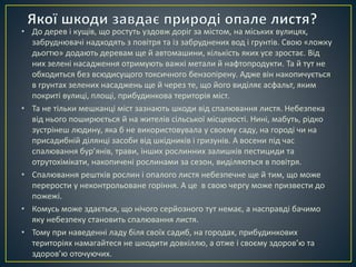 • До дерев і кущів, що ростуть уздовж доріг за містом, на міських вулицях, 
забруднювачі надходять з повітря та із забруднених вод і грунтів. Свою «ложку 
дьогтю» додають деревам ще й автомашини, кількість яких усе зростає. Від 
них зелені насадження отримують важкі метали й нафтопродукти. Та й тут не 
обходиться без всюдисущого токсичного бензопірену. Адже він накопичується 
в грунтах зелених насаджень ще й через те, що його виділяє асфальт, яким 
покриті вулиці, площі, прибудинкова територія міст. 
• Та не тільки мешканці міст зазнають шкоди від спалювання листя. Небезпека 
від нього поширюється й на жителів сільської місцевості. Нині, мабуть, рідко 
зустрінеш людину, яка б не використовувала у своєму саду, на городі чи на 
присадибній ділянці засоби від шкідників і гризунів. А восени під час 
спалювання бур’янів, трави, інших рослинних залишків пестициди та 
отрутохімікати, накопичені рослинами за сезон, виділяються в повітря. 
• Спалювання рештків рослин і опалого листя небезпечне ще й тим, що може 
перерости у неконтрольоване горіння. А це в свою чергу може призвести до 
пожежі. 
• Комусь може здається, що нічого серйозного тут немає, а насправді бачимо 
яку небезпеку становить спалювання листя. 
• Тому при наведенні ладу біля своїх садиб, на городах, прибудинкових 
територіях намагайтеся не шкодити довкіллю, а отже і своєму здоров’ю та 
здоров’ю оточуючих. 
 