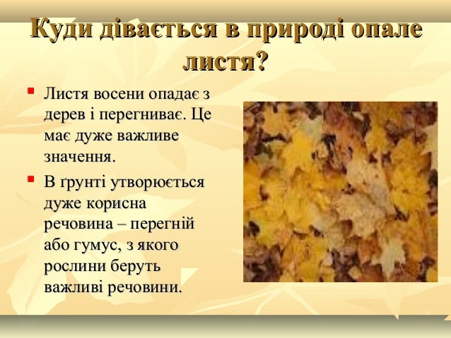 Опале Листя Користь Чи Шкода Реферат Читать