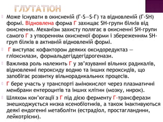 Може існувати в окисненій (Г-S—S-Г) та відновленій (Г-SН) 
формі. Відновлена форма Г захищає SH-групи білків від 
окиснення. Механізм захисту полягає в окисненні SH-групи 
самого Г з утворенням окисненої форми і збереженням SH- 
груп білків в активній відновленій формі. 
 Г виступає кофактором деяких оксидоредуктаз — 
гліоксилази, формальдегіддегідрогенази. 
 Важлива роль належить Г у зв’язуванні вільних радикалів, 
відновленні пероксиду водню та інших пероксидів, що 
запобігає розвитку вільнорадикальних процесів. 
 Г бере участь у транспорті амінокислот через плазматичні 
мембрани ентероцитів та інших клітин (мозку, нирок). 
 Шляхом кон’югації з Г під дією ферменту Г-трансферази 
знешкоджується низка ксенобіотиків, а також інактивуються 
деякі ендогенні метаболіти (естрадіол, простагландини, 
лейкотрієни). 
 