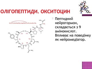  Пептидний 
нейрогормон, 
складається з 9 
амінокислот. 
Впливає на поведінку 
як нейромедіатор. 
 