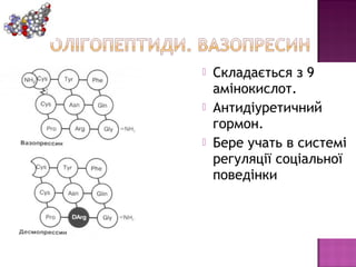  Складається з 9 
амінокислот. 
 Антидіуретичний 
гормон. 
 Бере учать в системі 
регуляції соціальної 
поведінки 
 
