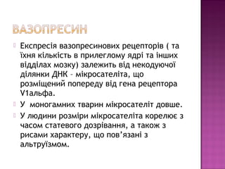  Експресія вазопресинових рецепторів ( та 
їхня кількість в прилеглому ядрі та інших 
відділах мозку) залежить від некодуючої 
ділянки ДНК – мікросателіта, що 
розміщений попереду від гена рецептора 
V1альфа. 
 У моногамних тварин мікросателіт довше. 
 У людини розміри мікросателіта корелює з 
часом статевого дозрівання, а також з 
рисами характеру, що пов’язані з 
альтруїзмом. 
 
