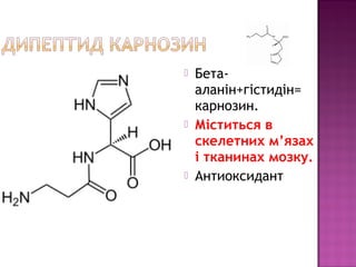  Бета- 
аланін+гістидін= 
карнозин. 
 Міститься в 
скелетних м’язах 
і тканинах мозку. 
 Антиоксидант 
 