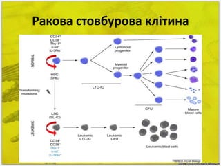 Ракова стовбурова клітина 
 