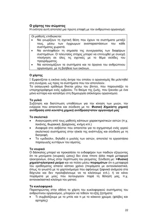 Ο χάρτης του σώματος 
Η ενότητα αυτή αποτελεί μια πρώτη επαφή με τον ανθρώπινο οργανισμό: 
Οι μαθητές επιδιώκεται: 
· Να γνωρίζουν τη σχετική θέση που έχουν τα συστήματα μεταξύ 
τους, μέσω των έγχρωμων αναπαραστάσεων του κάθε 
συστήματος χωριστά. 
· Να αντιληφθούν τη σημασία της συνεργασίας των διαφόρων 
συστημάτων. Ο τελευταίος στόχος μπορεί να επιτευχθεί με συνεχή 
πλοήγηση σε όλες τις σχετικές με το θέμα σελίδες του 
προγράμματος. 
· Να κατονομάζουν τα συστήματα και τα όργανα του ανθρώπινου 
οργανισμού, με τη βοήθεια των εικόνων. 
Ο χάρτης 
 Εμφανίζεται η εικόνα ενός άντρα του οποίου ο οργανισμός θα μελετηθεί 
στη συνέχεια, ως προς τα συστήματα που τον αποτελούν. 
Το εισαγωγικό ερέθισμα δίνεται μέσω του βίντεο, που παρουσιάζει το 
υπερηχογράφημα ενός εμβρύου. Το θαύμα της ζωής, που ξεκινάει με ένα 
μόνο κύτταρο και καταλήγει στη δημιουργία ολόκληρου οργανισμού. 
Το μυϊκό 
Συζήτηση και διατύπωση υποθέσεων για την κίνηση των μυών, την 
ενέργεια που απαιτείται και σύνδεση με το: Φυσική Χημεία>η χημική 
αντίδραση από κοντά>η χημική αντίδραση>στον οργανισμό μας 
Το σκελετικό 
· Αναγνώριση από τους μαθητές κάποιων χαρακτηριστικών οστών (π.χ. 
λεκάνης, θωρακικά, βραχίονας, κνήμη κτλ.) 
· Αναφορά στο ασβέστιο που απαιτείται για το σχηματισμό ενός γερού 
σκελετικού συστήματος στην ηλικία της ανάπτυξης και σύνδεση με τη 
διατροφή. 
· Tο «μεδούλι», δηλαδή ο μυελός των οστών, αποτελεί το εργοστάσιο 
παραγωγής κυττάρων του αίματος. 
Το νευρικό 
Ο δάσκαλος μπορεί να προκαλέσει το ενδιαφέρον των παιδιών εξηγώντας 
ότι τα μηνύματα (νευρικές ώσεις) δεν είναι τίποτε άλλο παρά μεταφορά 
ηλεκτρονίων, όπως στην περίπτωση του ρεύματος. Σύνδεση με: >Φυσική 
χημεία>ηλεκτρικό ρεύμα και να πείσει μέσω πειραμάτων ότι η μεταφορά 
του ερεθίσματος απαιτεί κάποιο χρόνο (πειράματα με αντανακλαστικά, 
όπως το γνωστό με το χαρτονόμισμα που αφήνουμε ξαφνικά ανάμεσα στα 
δάχτυλα και δεν προλαβαίνουμε να τα κλείσουμε κτλ.). ή να κάνει 
πειράματα με μύες που λειτουργούν παρά τη θέλησή μας, π.χ. 
αντανακλαστικό κλείσιμο του ματιού. 
Το κυκλοφορικό 
Παρατηρώντας στην οθόνη το χάρτη του κυκλοφορικού συστήματος του 
ανθρώπινου οργανισμού, μπορούν να τεθούν τα εξής ζητήματα: 
· Τι συμβολίζουμε με το μπλε και τι με το κόκκινο χρώμα; (φλέβες και 
αρτηρίες) 
22 
 