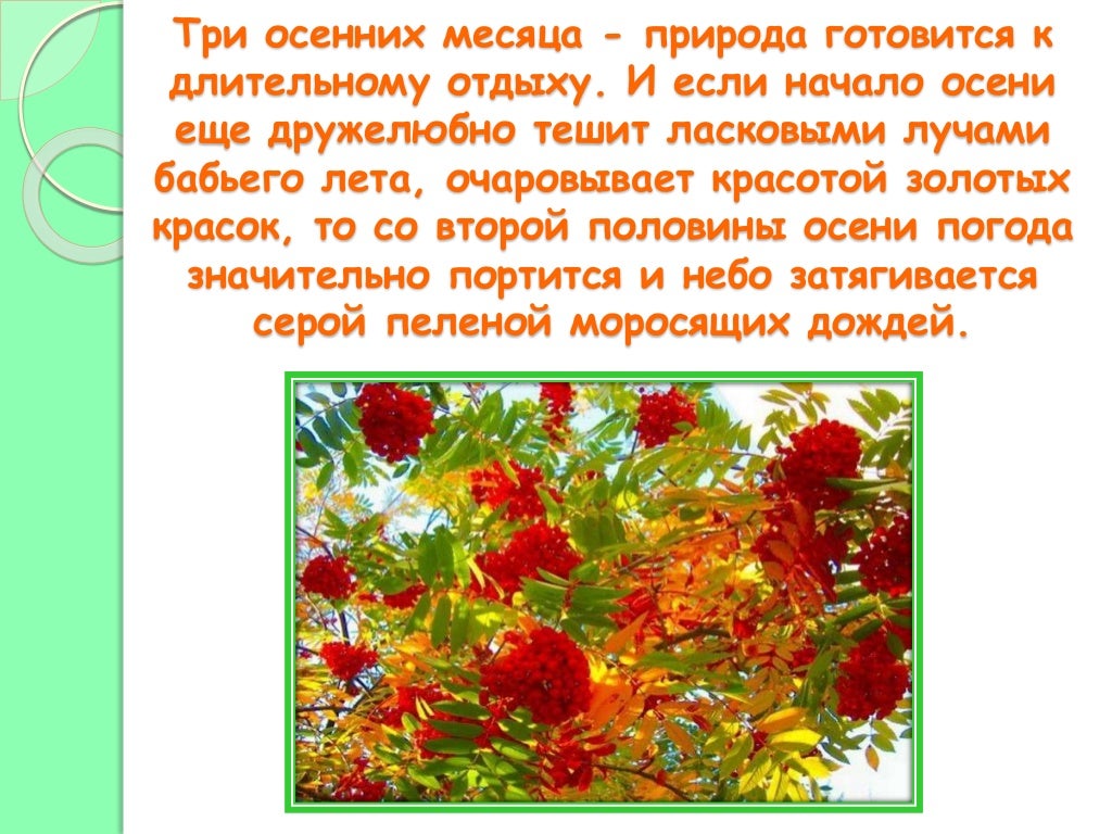 стихи про лето для детей. стихи про лето август для детей. летние месяцы июнь. описание лето для детей. доклад о лете.