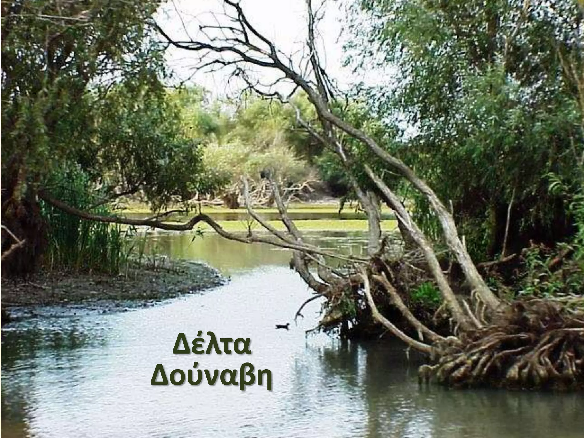 Δέλτα
Δούναβη
 