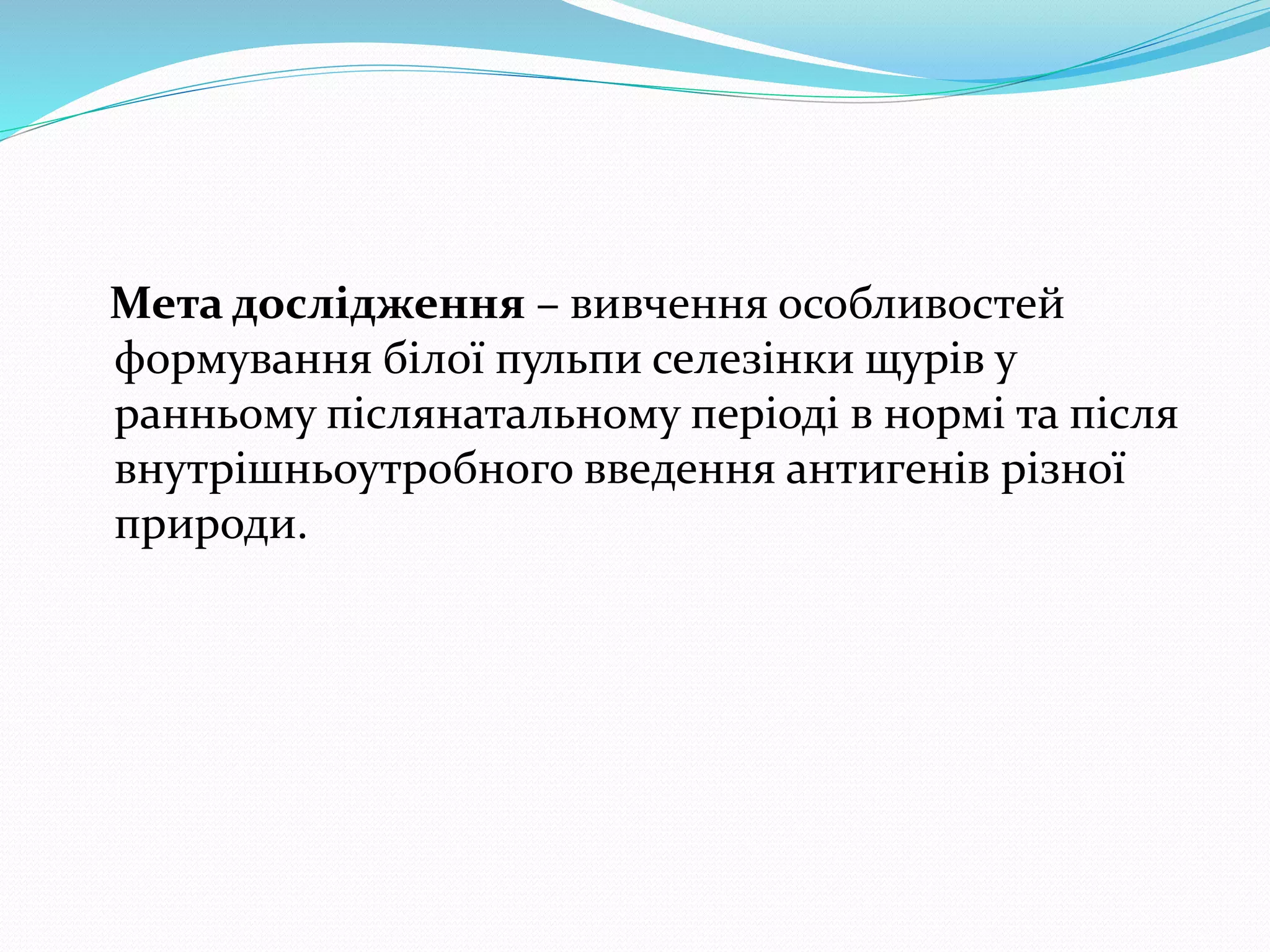 Мета дослідження – вивчення особливостей 
формування білої пульпи селезінки щурів у 
ранньому післянатальному періоді в нормі та після 
внутрішньоутробного введення антигенів різної 
природи. 
 