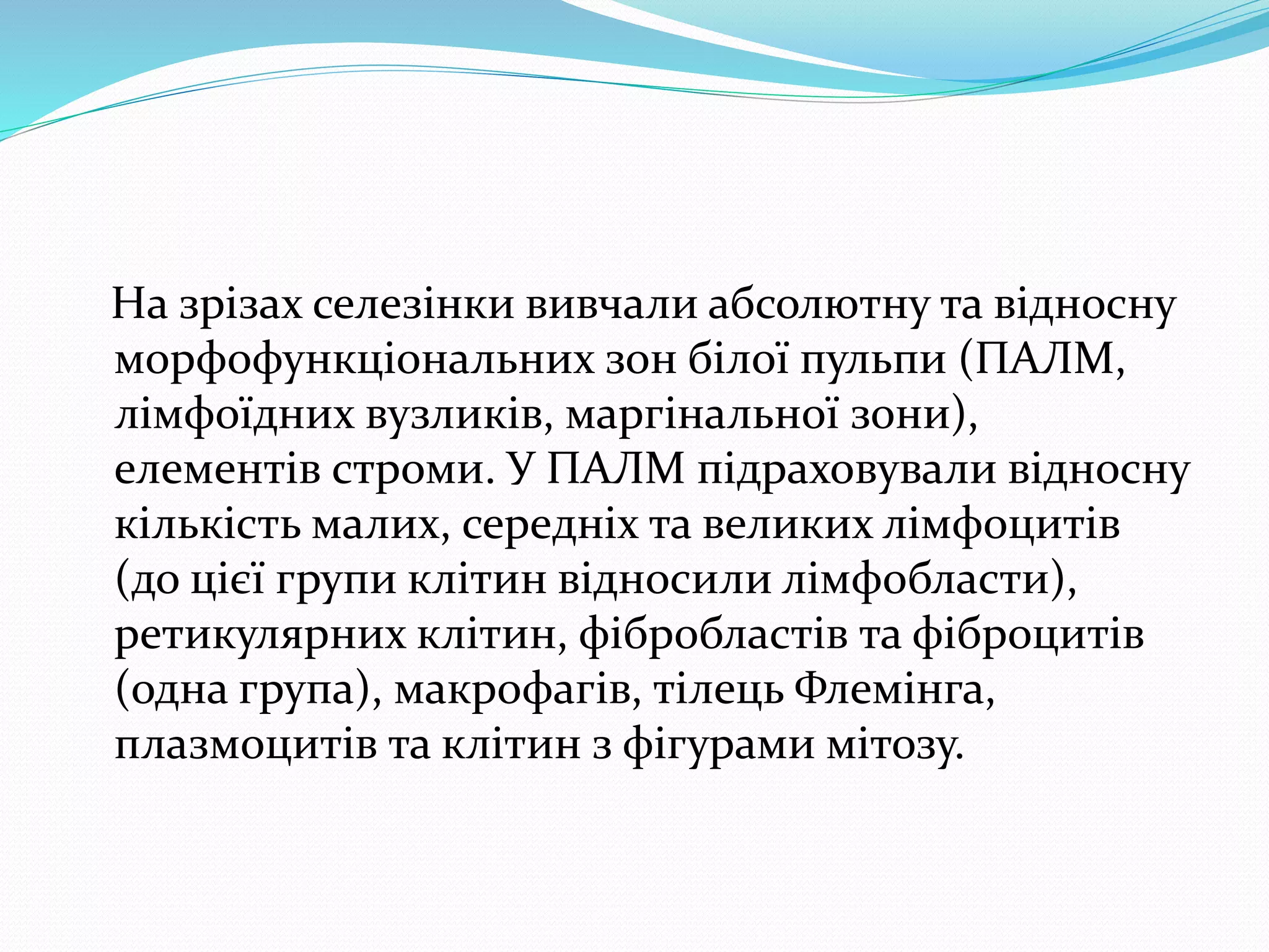 На зрізах селезінки вивчали абсолютну та відносну 
морфофункціональних зон білої пульпи (ПАЛМ, 
лімфоїдних вузликів, маргінальної зони), 
елементів строми. У ПАЛМ підраховували відносну 
кількість малих, середніх та великих лімфоцитів 
(до цієї групи клітин відносили лімфобласти), 
ретикулярних клітин, фібробластів та фіброцитів 
(одна група), макрофагів, тілець Флемінга, 
плазмоцитів та клітин з фігурами мітозу. 
 