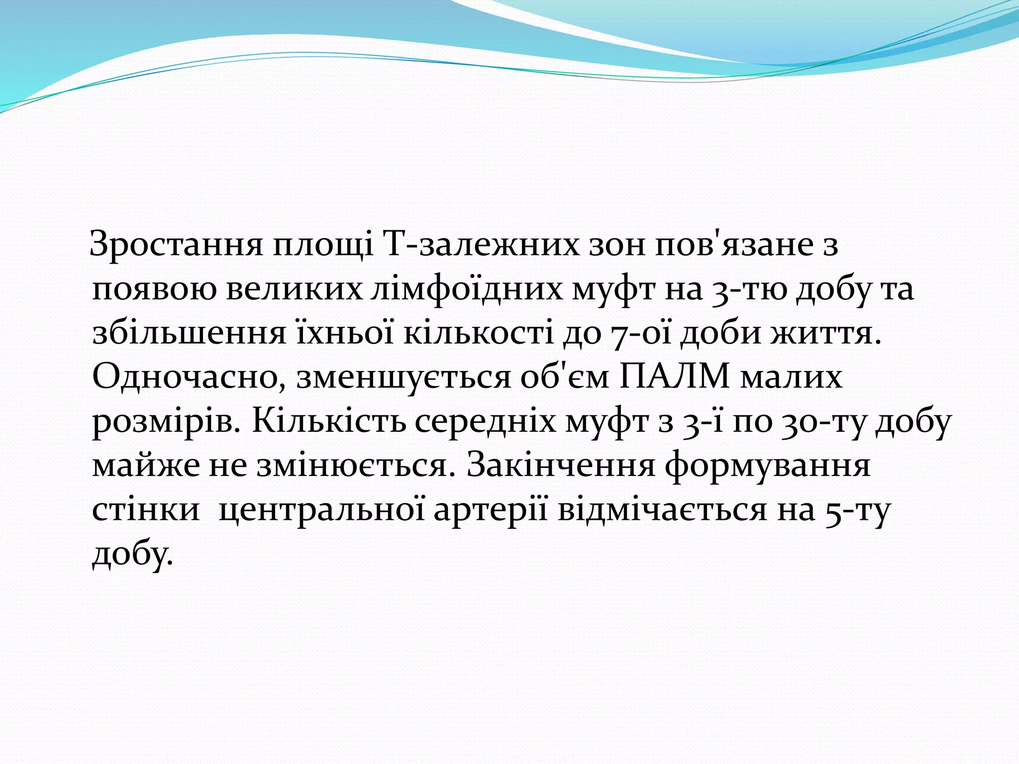 Зростання площі Т-залежних зон пов'язане з 
появою великих лімфоїдних муфт на 3-тю добу та 
збільшення їхньої кількості до 7-ої доби життя. 
Одночасно, зменшується об'єм ПАЛМ малих 
розмірів. Кількість середніх муфт з 3-ї по 30-ту добу 
майже не змінюється. Закінчення формування 
стінки центральної артерії відмічається на 5-ту 
добу. 
 