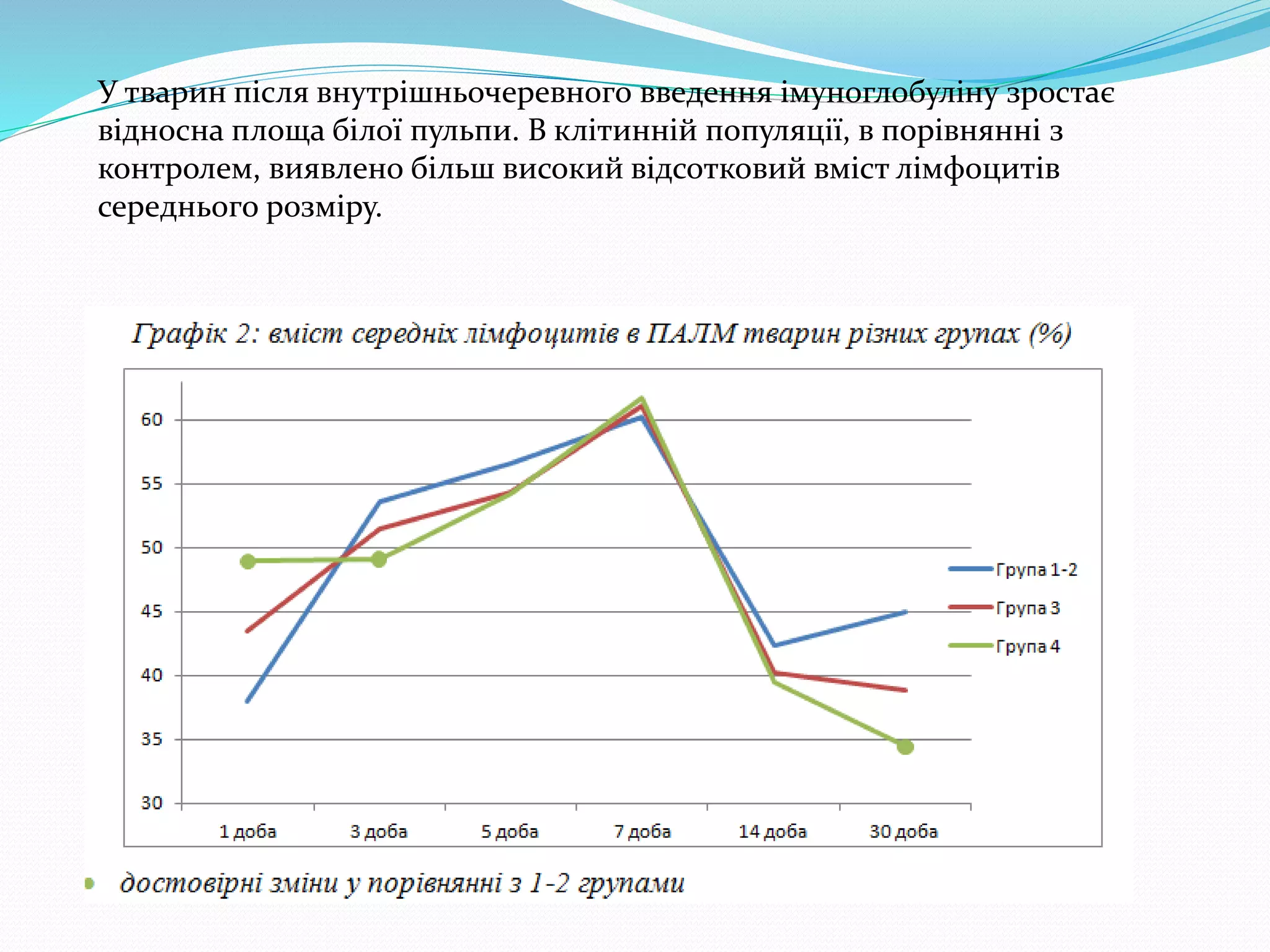 У тварин після внутрішньочеревного введення імуноглобуліну зростає 
відносна площа білої пульпи. В клітинній популяції, в порівнянні з 
контролем, виявлено більш високий відсотковий вміст лімфоцитів 
середнього розміру. 
 