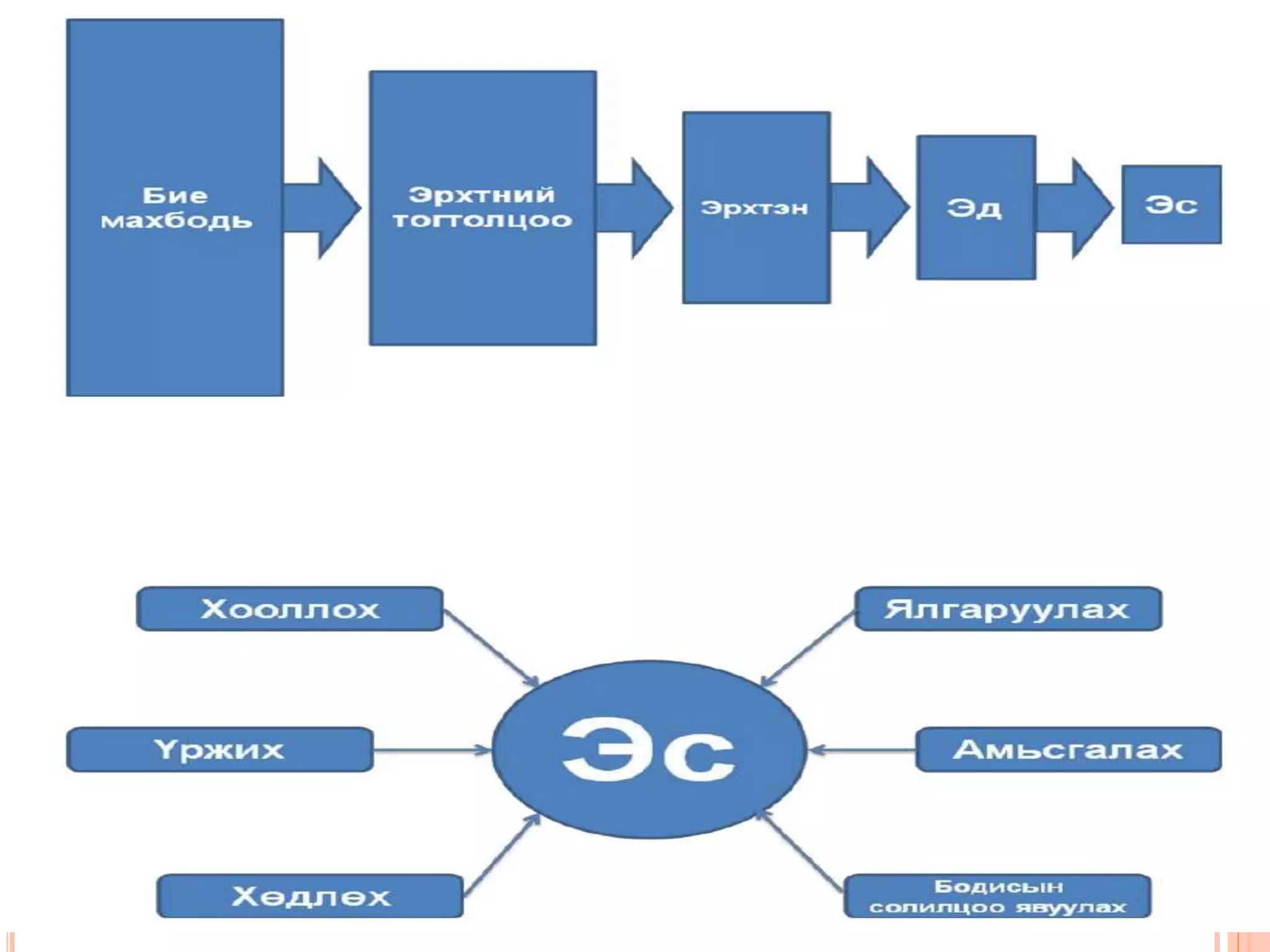 эсийн бүтэц | PPT