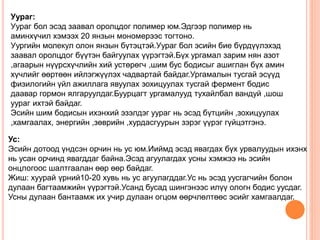Уураг: 
Уураг бол эсэд заавал оролцдог полимер юм.Эдгээр полимер нь 
аминхүчил хэмээх 20 янзын мономерээс тогтоно. 
Уургийн молекул олон янзын бүтэцтэй.Уураг бол эсийн бие бүрдүүлэхэд 
заавал оролцдог бүүтэн байгуулах үүрэгтэй.Бүх ургамал зарим нян азот 
,агаарын нүүрсхүчлийн хий устөрөгч ,шим бус бодисыг ашиглан бүх амин 
хүчлийг өөртөөн ийлэгжүүлэх чадвартай байдаг.Ургамалын тусгай эсүүд 
физилогийн үйл ажиллага явуулах зохицуулах тусгай фермент бодис 
даавар гормон ялгаруулдаг.Буурцагт ургамалууд тухайлбал вандуй ,шош 
уураг ихтэй байдаг. 
Эсийн шим бодисын ихэнхий эзэлдэг уураг нь эсэд бүтцийн ,зохицуулах 
,хамгаалах, энергийн ,зөврийн ,хурдасгуурын зэрэг үүрэг гүйцэтгэнэ. 
Ус: 
Эсийн дотоод үндсэн орчин нь ус юм.Ииймд эсэд явагдах бүх урвалуудын ихэнх 
нь усан орчинд явагддаг байна.Эсэд агуулагдах усны хэмжээ нь эсийн 
онцлогоос шалтгаалан өөр өөр байдаг. 
Жиш: хуурай үрний10-20 хувь нь ус агуулагддаг.Ус нь эсэд уусгагчийн болон 
дулаан багтаамжийн үүрэгтэй.Усанд бусад шингэнээс илүү ологн бодис уусдаг. 
Усны дулаан бантаамж их учир дулаан огцом өөрчлөлтөөс эсийг хамгаалдаг. 
 