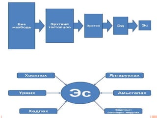 эсийн бүтэц