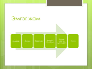 gogii | PPT