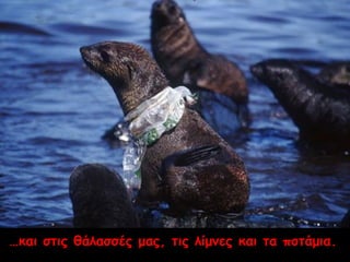…και στις θάλασσές μας, τις λίμνες και τα ποτάμια. 
 