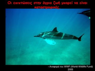 Οι επιπτώσεις στην άγρια ζωή μπορεί να είναι 
καταστροφικές. 
-- ΑΑννααφφοορράά ττοουυ WWWWFF ((WWoorrlldd WWiillddlliiffee FFuunndd)) 
22000055 
 