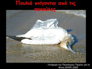 Πουλιά πνίγονται από τις 
σακούλες 
-- ΑΑννααφφοορράά ττοουυ ΠΠααγγκκόόσσμμιιοουυ ΤΤααμμεείίοουυ γγιιαα ττηη 
ΦΦύύσσηη ((WWWWFF)) 22000055 
 