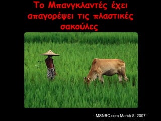 Το Μπανγκλαντές έχει 
απαγορέψει τις πλαστικές 
σακούλες 
-- MMSSNNBBCC..ccoomm MMaarrcchh 88,, 22000077 
 