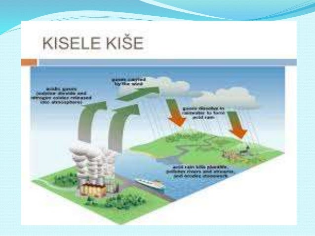 Kisele kiše - učenici 2014-15.