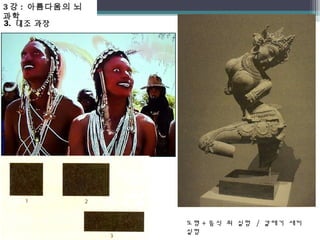 3강 : 아름다움의 뇌 
과학 
3. 대조 과장 
도형+ 음식 쥐 실험 / 갈매기 새끼 
실험 
 