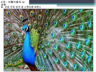 3강 : 아름다움의 뇌 
과학 
4. 고립 주목 성기 꽃 ( 핸디캡 이론 ) 
 