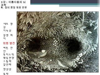 3강 : 아름다움의 뇌 
과학 
6. 질서 통일 묶음 분류 
세포 형 
성 
지속성 
질병 회 
피 
위험 발견 
빠른 판 
단 
휴리스틱 
확증편향 
그룹화 
일반화 
항상성 
중력 
 