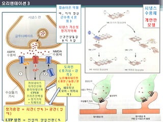 시냅스 
수용체 
계란판 
모델 
칼슘이온 역할 
뼈, 치아 형성 
근수축 (운 
장기증강 = 시간(반복)+공간(입 
체) 
LTP발현 = 전압의 양질전환(로 
동) 
시냅스 가소성 
장기기억화 
신경전달물질 
분비 조절 
도파민 
(호기심~감 
격) 
노르에피네프린 
(흥분/놀람/분 
노) 
세로토닌 
(묘미~의미사 
색) 
카이네이즈 
자가인산화 
폴리아데닌화 
CPEB 
프리온단백질 
=장기기억 
=치매치료 
 