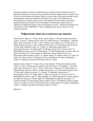 данни за акупупунктурните точки на стъпалата | PDF