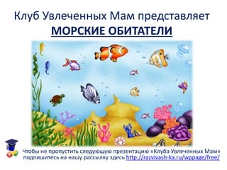 Презентация Для Детей "Морские Обитатели" | PPT