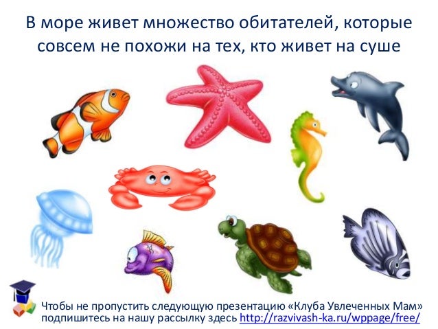 Презентация О Воде Для Дошкольников Презентация О Воде Для Дошкольников