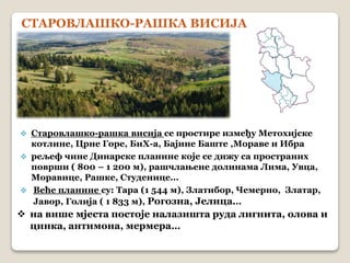 СТАРОВЛАШКО-РАШКА ВИСИЈА 
 Старовлашко-рашка висија се простире између Метохијске 
котлине, Црне Горе, БиХ-а, Бајине Баште ,Мораве и Ибра 
 рељеф чине Динарске планине које се дижу са пространих 
површи ( 800 – 1 200 м), рашчлањене долинама Лима, Увца, 
Моравице, Рашке, Студенице... 
 Веће планине су: Тара (1 544 м), Златибор, Чемерно, Златар, 
Јавор, Голија ( 1 833 м), Рогозна, Јелица... 
 на више мјеста постоје налазишта руда лигнита, олова и 
цинка, антимона, мермера… 
 