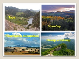 Тара 
Златибор 
Пештерска висораван 
Овчар и Каблар 
 