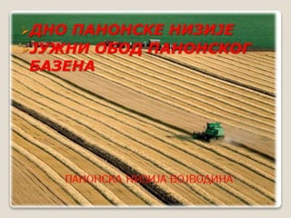 ДНО ПАНОНСКЕ НИЗИЈЕ 
ЈУЖНИ ОБОД ПАНОНСКОГ 
БАЗЕНА 
 
