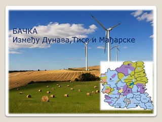 БАЧКА 
Између Дунава,Тисе и Мађарске 
 