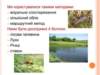 Ми користувалися такими методами: 
 візуальне спостереження 
 кількісний облік 
 маршрутний метод 
Нами були досліджені...