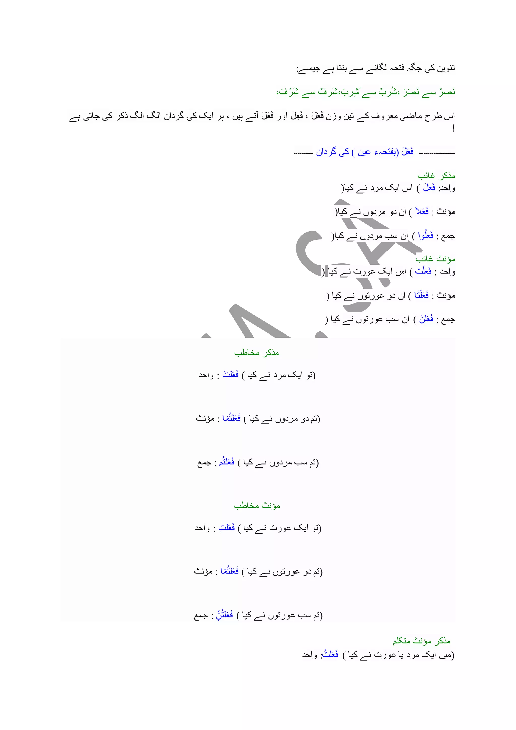 Arabic Grammar Basic Docx