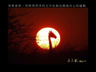 美景當前， 有時用再多的文字也無法描述內心的感動 
 