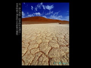 另 
一 
個 
沙漠 
區 
，雨 
季 
時 
形成 
湖 
泊， 
旱季時留下湖底的白色鈣質沉積物 
 