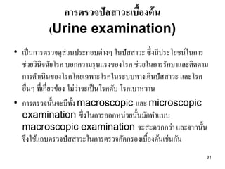 31 
การตรวจปัสสาวะเบื้องต้น (Urine examination) 
•เป็นการตรวจดูส่วนประกอบต่างๆ ในปัสสาวะ ซึ่งมีประโยชน์ในการ ช่วยวินิจฉัยโรค บอกความรุนแรงของโรค ช่วยในการรักษาและติดตาม การดาเนินของโรคโดยเฉพาะโรคในระบบทางเดินปัสสาวะ และโรค อื่นๆ ที่เกี่ยวข้อง ไม่ว่าจะเป็นโรคตับ โรคเบาหวาน •การตรวจนั้นจะมีทั้ง macroscopic และ microscopic examination ซึ่งในการออกหน่วยนั้นมักทาแบบ macroscopic examination จะสะดวกกว่า และจากนั้น จึงใช้แถบตรวจปัสสาวะในการตรวจคัดกรองเบื้องต้นเช่นกัน  