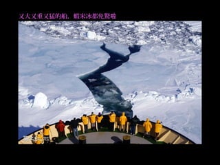 又大又重又猛的船，蝦米冰都免驚啦 
 