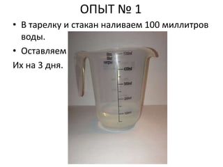 ОПЫТ № 1 
• В тарелку и стакан наливаем 100 миллитров 
воды. 
• Оставляем 
Их на 3 дня. 
 