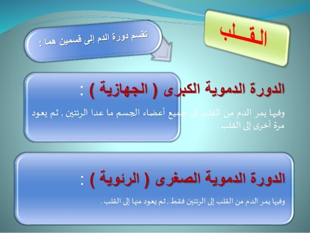 النقل والجهاز الدوري الدموي في الانسان