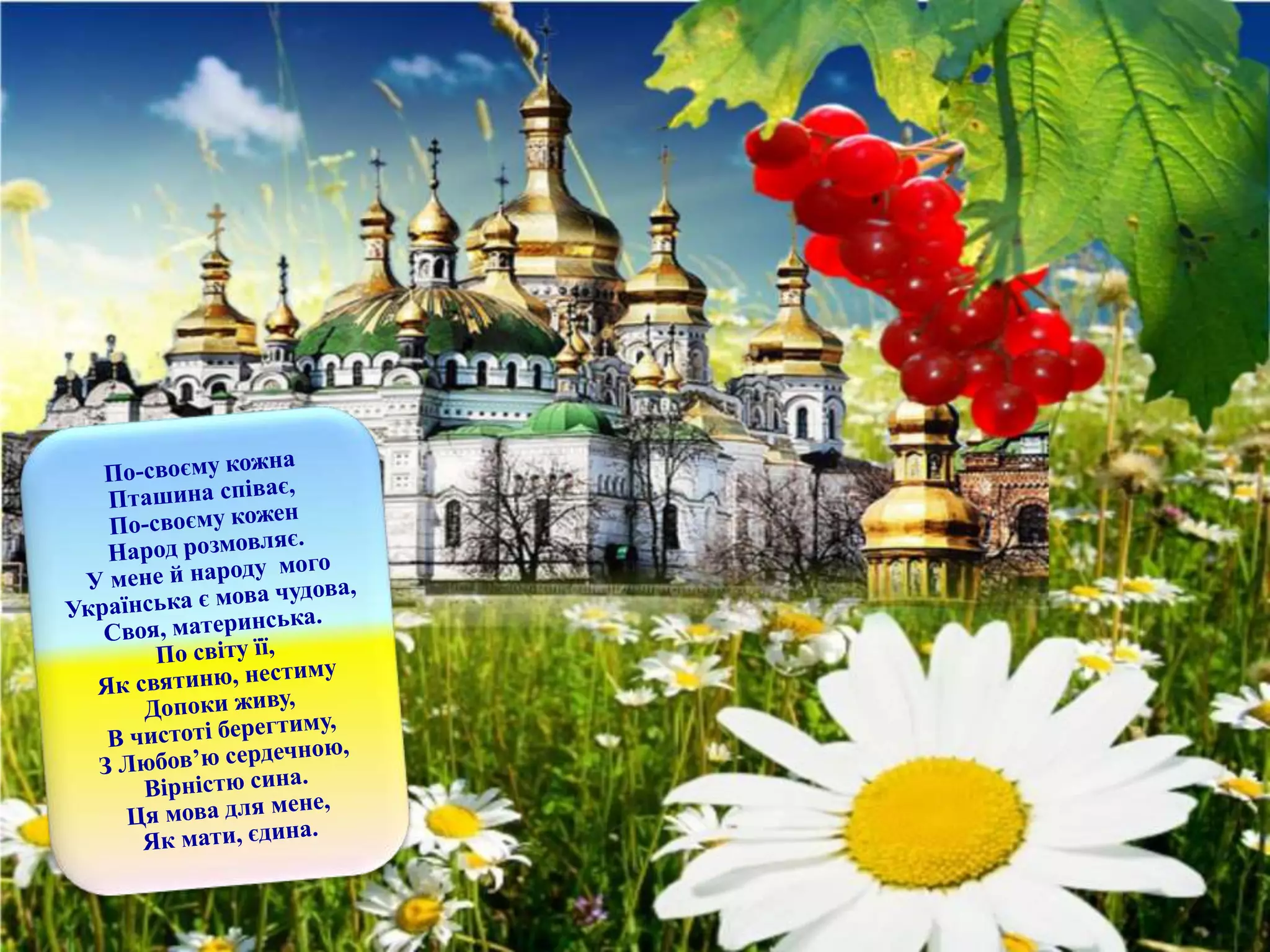 Для допитливих