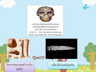 โครงกระดูกมนุษย์วานรใน 
ยุคหิน 
เครื่องมือในสมัยยุคหิน 
 