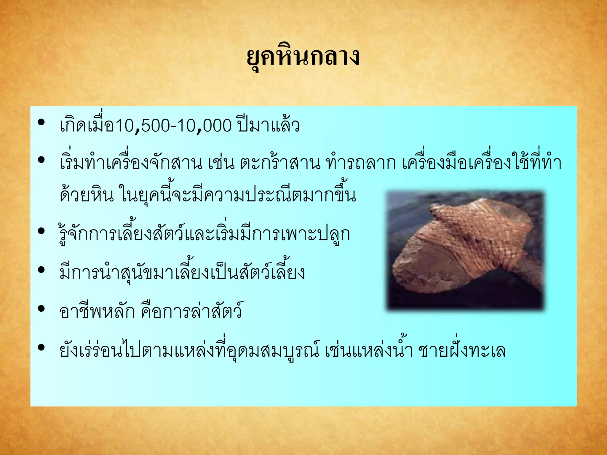 ยุคหินกลาง 
• เกิดเมื่อ10,500-10,000 ปีมาแล้ว 
• เริ่มทาเครื่องจักสาน เช่น ตะกร้าสาน ทารถลาก เครื่องมือเครื่องใช้ที่ทา 
ด้วยหิน ในยุคนีจ้ะมีความประณีตมากขึน้ 
• รู้จักการเลยี้งสัตว์และเริ่มมีการเพาะปลูก 
• มีการนาสุนัขมาเลยี้งเป็นสัตว์เลยี้ง 
• อาชีพหลัก คือการล่าสัตว์ 
• ยังเร่ร่อนไปตามแหล่งที่อุดมสมบูรณ์ เช่นแหล่งนา้ ชายฝั่งทะเล 
 