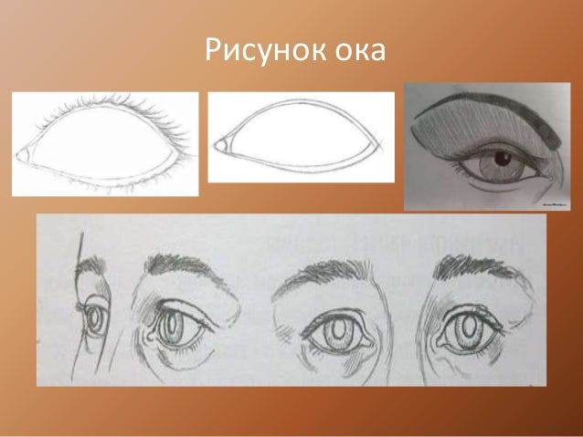 Ока рисунок карандашом