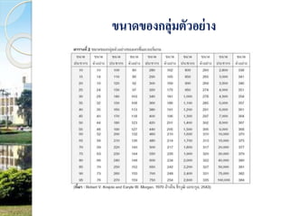 ขนาดของกลุ่มตัวอย่าง 
 